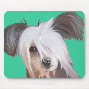 Chinese Crested Muismat