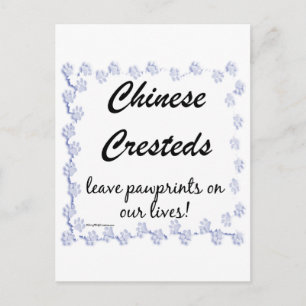 Chinese Crested Pawprints Briefkaart