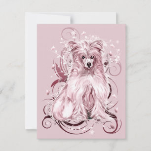 Chinese Crested Pink NB Kaart