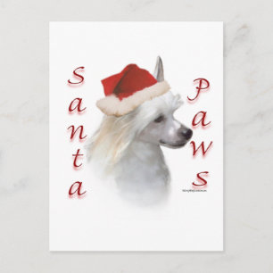 Chinese Crested (poeder) Santa Paws Feestdagenkaart