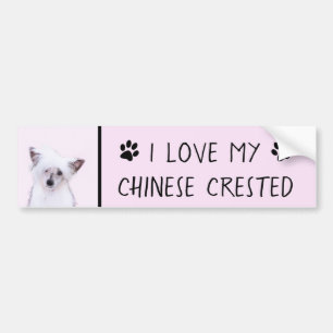 Chinese Crested Powderpuff-schilderijen - Dog Art Bumpersticker