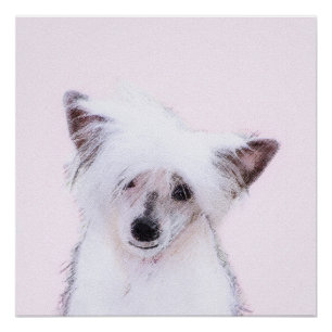 Chinese Crested Powderpuff-schilderijen - Dog Art Perfect Poster