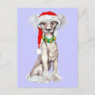 Chinese Crested Santa Feestdagenkaart