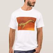 Chinese draak t-shirt (Voorkant)