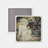 Chinese drakenmagneet magneet (Voorkant / Achterkant)