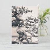 Chinese Elm Kaart (Staand voorkant)