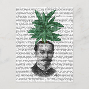 Chinese Evergreen Head Plant Briefkaart