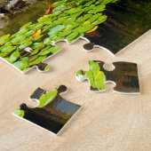 Chinese Garden Portland Oregon. Legpuzzel (Zijkant)