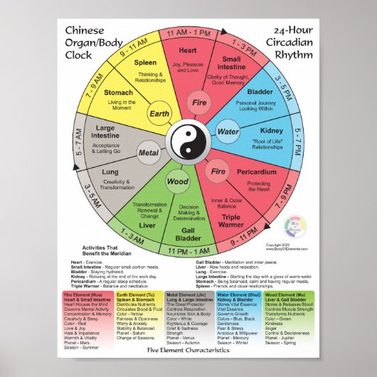 Chinese geneeskunde Meridiaan Lichaamsklok Poster (Voorkant)