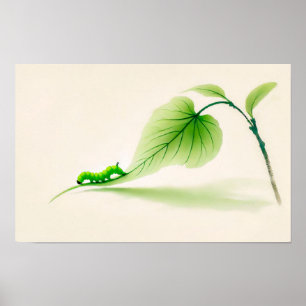 Chinese Inkt vlinder rups op Linden Poster