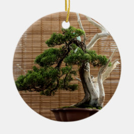 Chinese jeneverbes bonsai boom foto keramisch ornament
