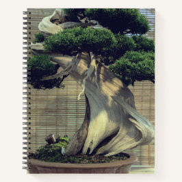 Chinese jeneverbes bonsai boom foto notitieboek