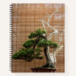 Chinese jeneverbes bonsai boom foto notitieboek