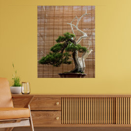 Chinese jeneverbes bonsai boom foto poster