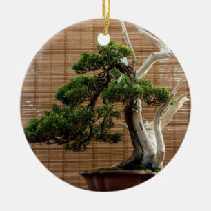 Chinese Jeneverbes Bonsai Boom Keramisch Ornament