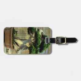 Chinese Juniper Bonsai Boom Fotonaam Bagagelabel