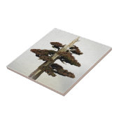 Chinese Juniper Bonsai-boom Tegeltje (Zijkant)