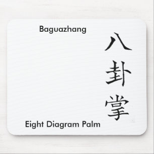 Chinese Kanji Calligraphy Baguazhang Pa Kua Muismat