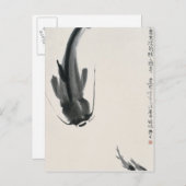 Chinese katvis briefkaart (Voorkant / Achterkant)