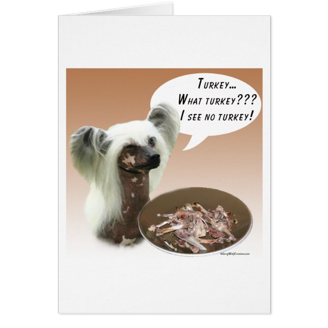 Chinese kuifkalkoen (Voorkant)