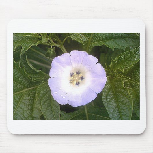 Chinese lantaarn muismat (Voorkant)