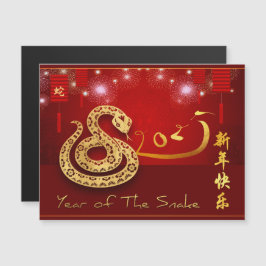 Chinese Lantaarns Vuurwerk Slang Jaar 2025 MC