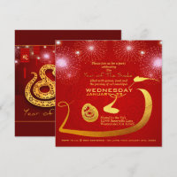 Chinese lantaarns vuurwerk slangenjaar 2025 Inv