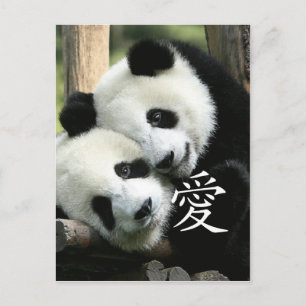 Chinese liefhebbende kleine reuzenpana briefkaart