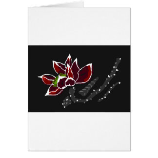 Chinese Lotus Colors