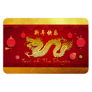 Chinese Nieuwjaar Dragon 2024 gestileerde lantaarn Magneet