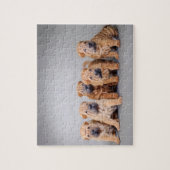 Chinese puppies met Shar pei Legpuzzel (Verticaal)