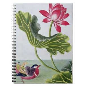 Chinese Red Water Lily, Deel I, bord 82, uit ' Notitieboek