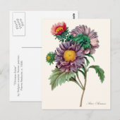 Chinese roosterbloemen briefkaart (Voorkant / Achterkant)