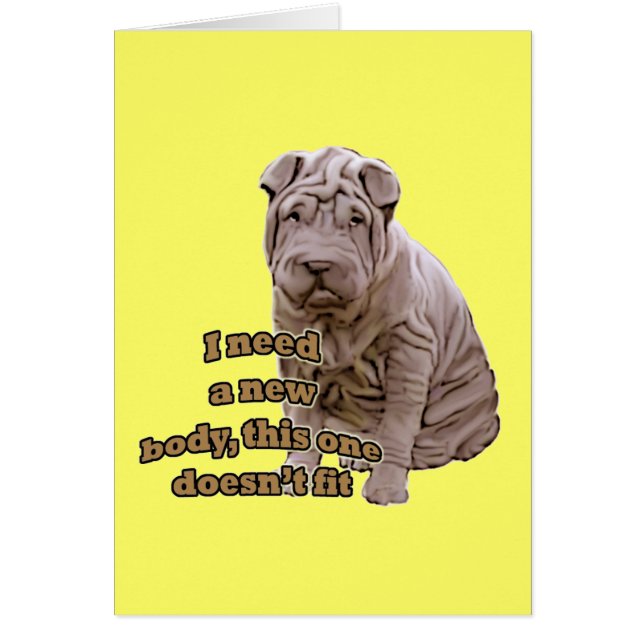 Chinese shar Pei (Voorkant)