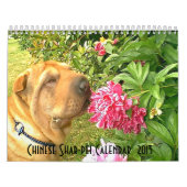 Chinese Shar-pei Calendar Kalender (Hoes)
