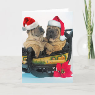 Chinese Shar pei met x-mas-petten Feestdagen Kaart