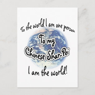 Chinese Shar-pei wereld 2 Briefkaart