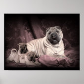  Chinese Shar Pei Wrinkles, puppy Dogs Poster (Voorkant)