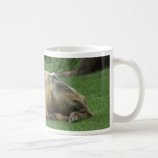 chinese-takin-1 koffiemok