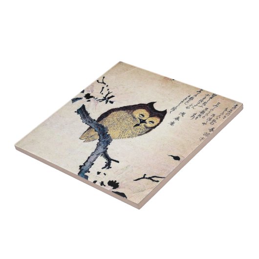 Chinese tijdetijger - Trivet Tegeltje (Zijkant)