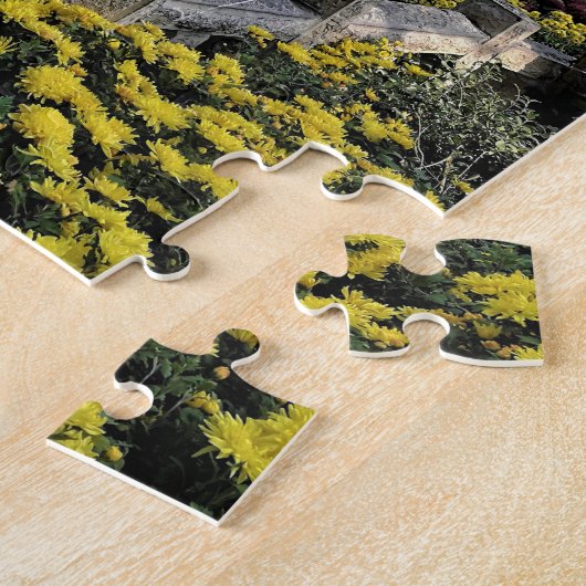 Chinese tuin legpuzzel (Zijkant)