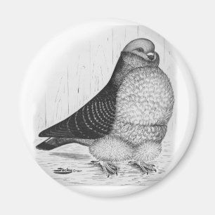 Chinese Uil Duif Inkt Tekening Magneet