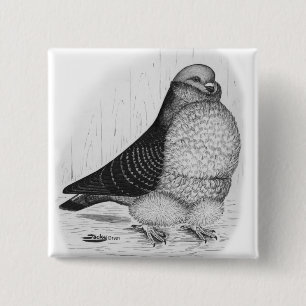 Chinese Uil Duif Inkt Tekening Vierkante Button 5,1 Cm