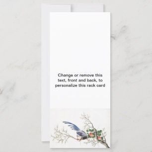 Chinese vogelschilders