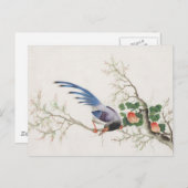 Chinese vogelschilders briefkaart (Voorkant / Achterkant)