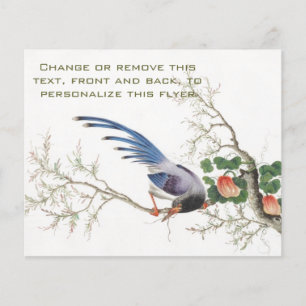 Chinese vogelschilders flyer
