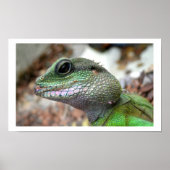 Chinese waterdraak poster (Voorkant)