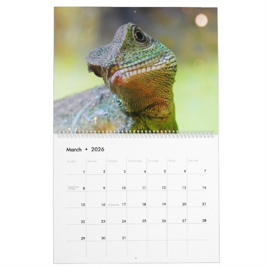 Chinese waterlopen kalender (Mar 2026)