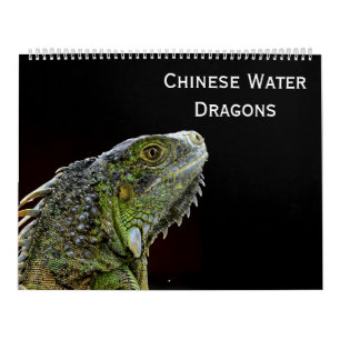 Chinese waterlopen kalender