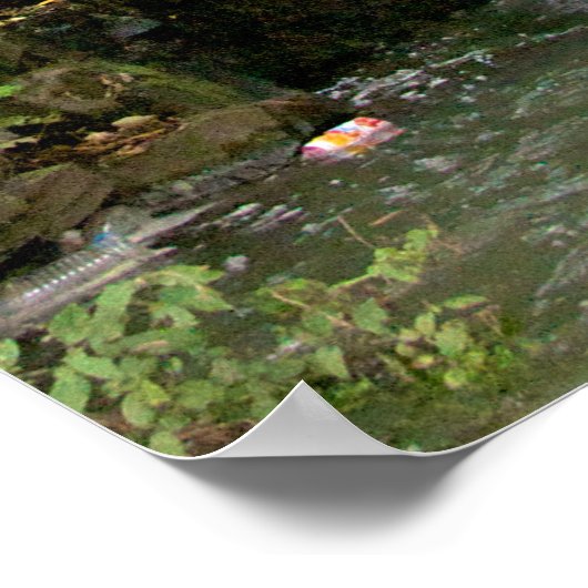 Chinese waterval poster (Hoek)